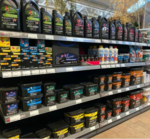 Zierfische und Aquaristik